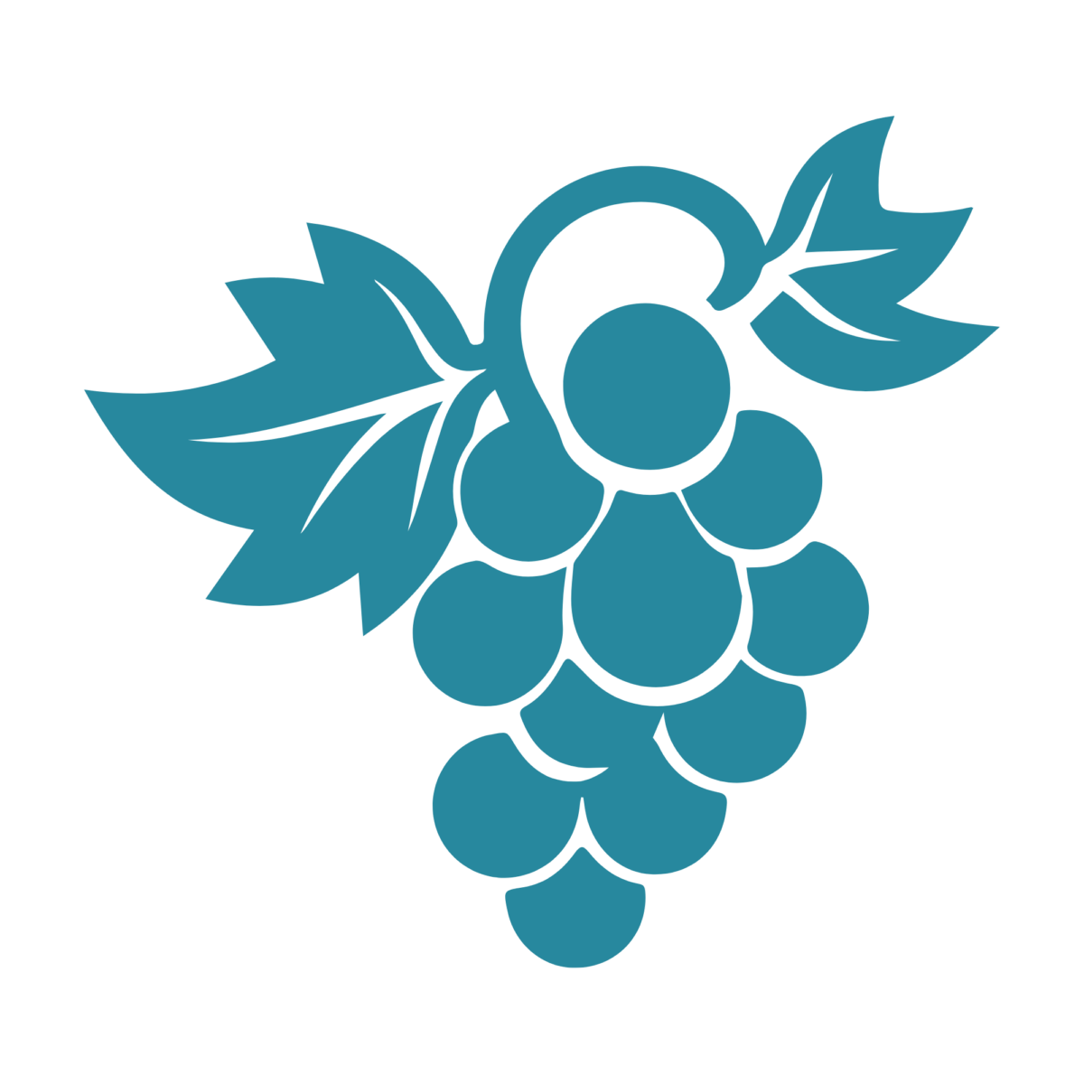 Logo les caves coop du 13